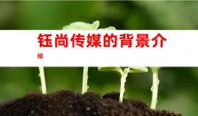 关于钰尚传媒：解密企业宣传新闻营销，网络媒体宣传与发稿营销渠道揭秘！